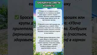 Бабушкины Советы и Секреты