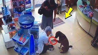 Las cámaras captaron a un perro inteligente entrando a una farmacia y ¡este es el motivo!