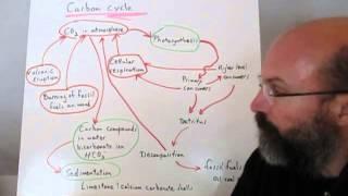 Biogeochemical cycles