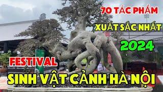 70 Tác Phẩm Xuất Sắc Nhất Festival Sinh Vật Cảnh Hà Nội Năm 2024