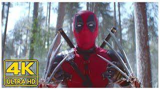 All Deadpool Fight Scenes 4K (2016 - 2024)