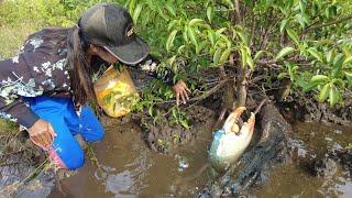 Surprise! I Found Giant Mud Crabs' Feet In Holes under Trees near The Sea after the Water Low Tide