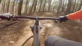 Jurassic Drop Line