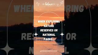 Nature Reserve Adventures: Essential Tips for Exploring and Preserving Natural Wonders  #travel