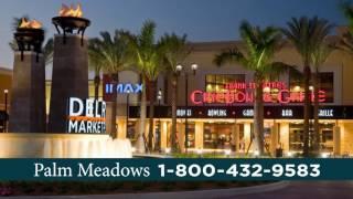 Cal Atlantic Homes "Palm Meadows"