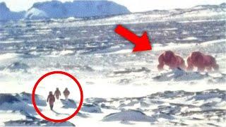 90 Year Old Footage From Beyond The Ice Wall of Antarctica SCARES The Entire World