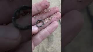 I found a SILVER ring metal detecting the beach! #equinox600 #minelab