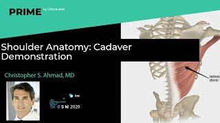 Shoulder Anatomy: Cadaver Demonstration - Christopher S. Ahmad, MD