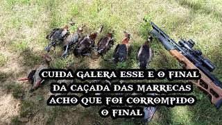Resultado da Caçada de ontem