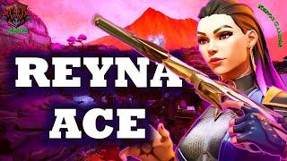  REYNA ACE  | Valorant Gameplay | Keros Gaming  #ace #reyna #valorant #newskins #newupdate