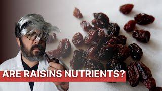 Are Raisins Nutrients? - A Moment With The Professor