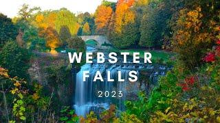 Webster Falls, 22 Metre Curtain Waterfall in Hamilton