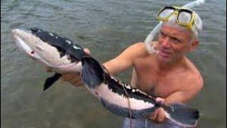 River Monsters Killer Snakehead Full Episode Hindi 2023 River Monsters हिंदी