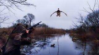 CLASSIC DUCK HUNTING 2023