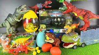 Jurassic World Unboxing Review Asmr Giganotosaurus T Rex Dragon Giant Crocodile Dinosaur Eggs