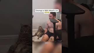 Chompy is 100% Mizkif’s Cat 