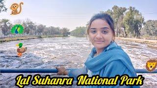 Lal Suhanra  National Park ||Bahawalpur||Punjab Pakistan