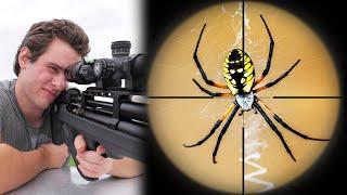 Exploding Giant Spiders with my Air Rifle!