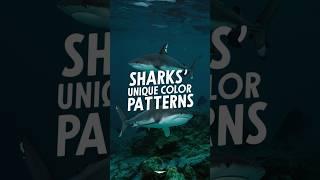 Intriguing Insights into Shark Tactics