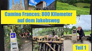 Camino Frances: 800 Kilometer auf dem spanischen Jakobsweg. Teil 1