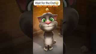 Talking Tom Cat 2024 | #shorts #short #trending #funny