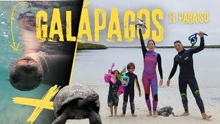 ¿Vale la pena el precio de viajar a GALÁPAGOS? 