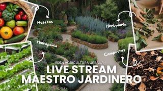 ‍ Guía de jardinería urbana | 🪴 PLANTAS felices, vida feliz | ¡Ponte verde en la ciudad! ️