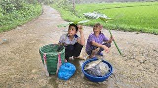 Grandma and boy Thanh sell fish. Thanh goes to make fish traps to sell for a living.