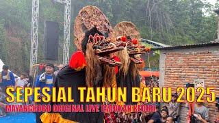 Spesial tahun baru 2025, Barongan Jaranan MAYANGKORO ORIGINAL Live Gunung Butak Tarokan Kediri.