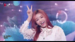 유아 돌핀 브이넘 귀여워 #유아 #샤샤 #오마이걸