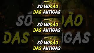 MODÃO DAS ANTIGAS - AS MELHORES | SERTANEJO RAIZ | MODA DE VIOLA - MODÃO RAIZ
