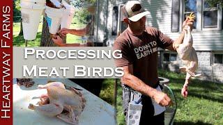 How To Process Meat Birds at Home! | Pastured Poultry