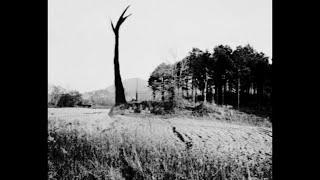 ROCKEFELLERTREETRAGEDY | The Monument Mythos