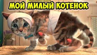 Приключения крошки котенка Игра про котика