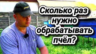 Сколько раз нужно обрабатывать пчёл осенью?