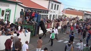 ARRAIAL DAS FONTINHAS  &  TOURADA