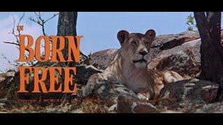 Born Free 1966 ~ by John Barry