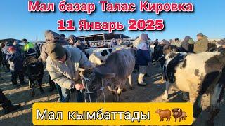 Мал базар Талас Кировка 11 Январь 2025