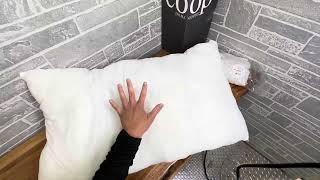 Honest review of Coop Pillow