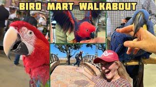 Pet Birds Event EXOTIC BIRD MART & Expo Pomona Fairplex California Parrots Canaries Conures Finches