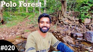 Polo Forest | પોલો ફોરેસ્ટ | One Day Picnic at Polo Forest | Mehul Solanki