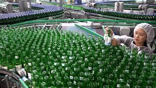 Process of Mass Producing Soju, a Liquor Loved by Koreans. A Huge Brewing Factory in Korea.