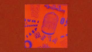 The Meta-Matics - Complete Discography (2002)