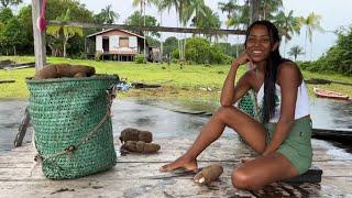 VEM COM A GENTE AQUI NO AMAZONAS TIRAR A GOMA E FARINHA DA TAPIOCA NESSE DIA MARAVILHOSO.