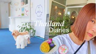 cozy days in Night Bazaar, Chiang Mai | チェンマイ・ナイトバザールエリアで美容院・高級コンドミニアムの視察