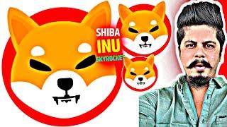 Shiba Inu Skyrocket & Skyshot in 2025 | और कोई Option नहीं है