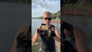 Малютки от Keitech в работе #рыбалка #fishing #keitech