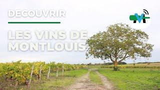 À la découverte des vins de Montlouis