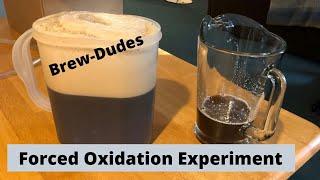 Forced Oxidation Experiment in Homebrewed Beer - Brew Dudes