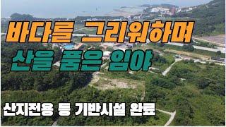 (109)산지전용, 상하수도 인입 등 기반시설 완료된 임야